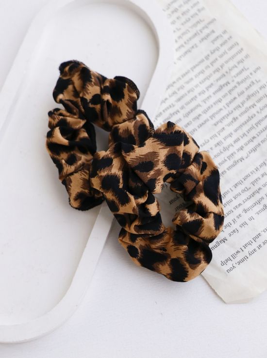 اسکرانچی پلنگی دینا