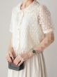 pp147231