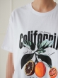 تیشرت زنانه california 3