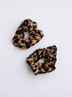 اسکرانچی پلنگی دینا